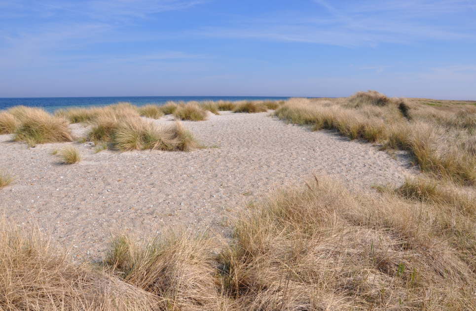 Endlose Naturstrnde mit Dnenlandschaften