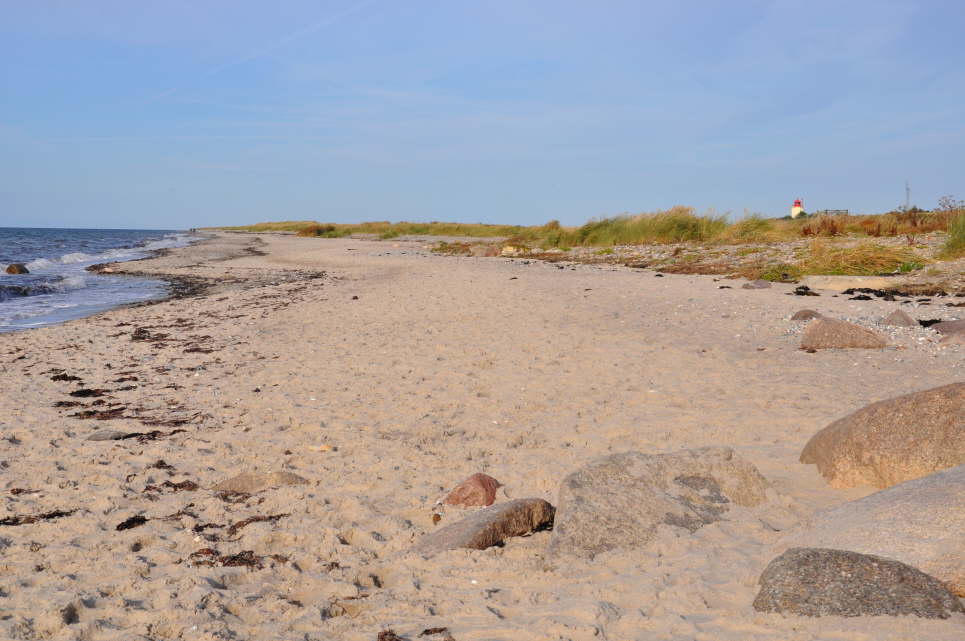 Strand Westermarkelsdorf