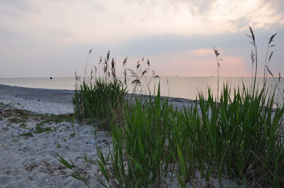 Westermarkelsdorfer Abendstimmung