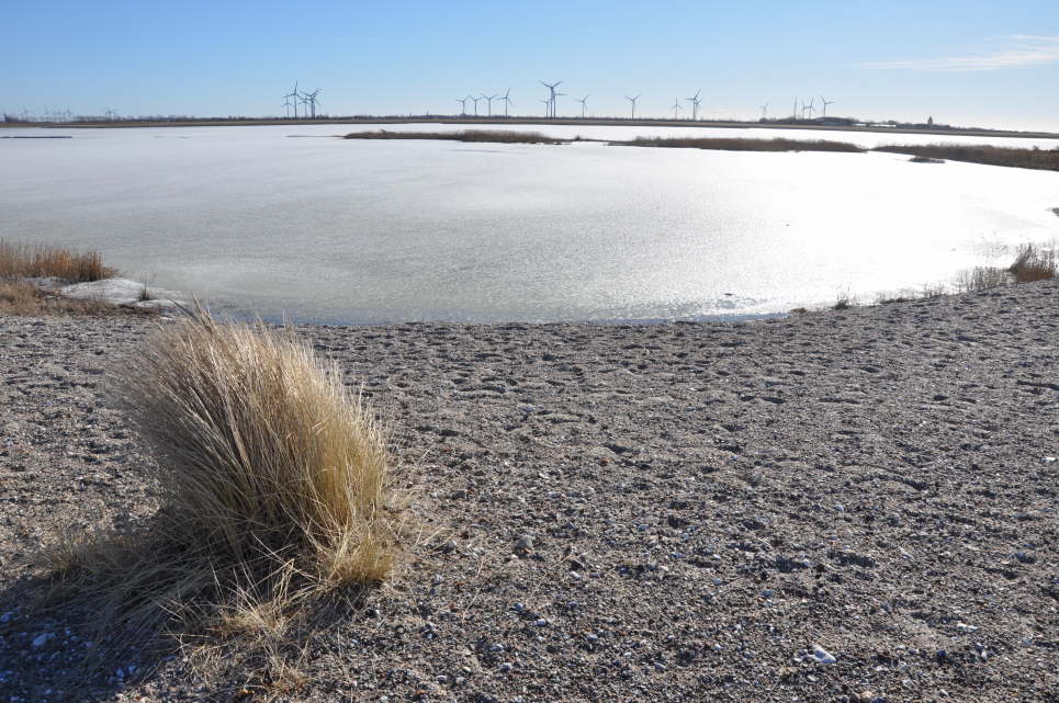 Markelsdorfer Huk im Winter