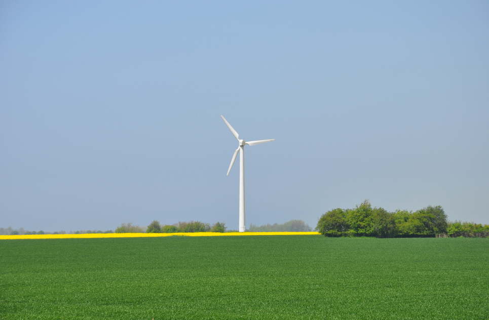 Windrad zwischen Orth und Lemkenhafen