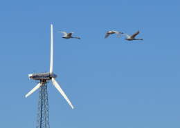 Windrad bei Lemkenhafen