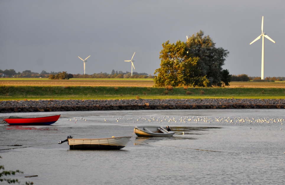 Windr�der bei Orth