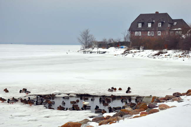 Fehmarn im Winter genieen