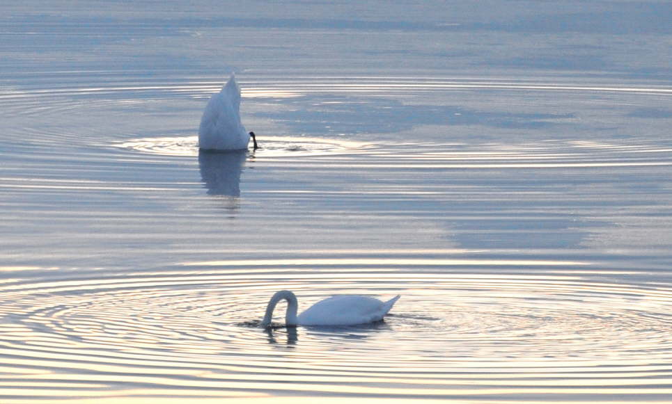 Fehmarn im Winter genieen