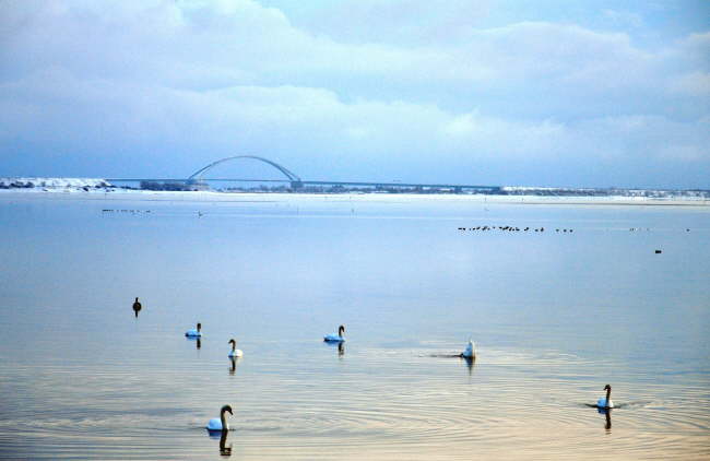Fehmarn im Winter genieen