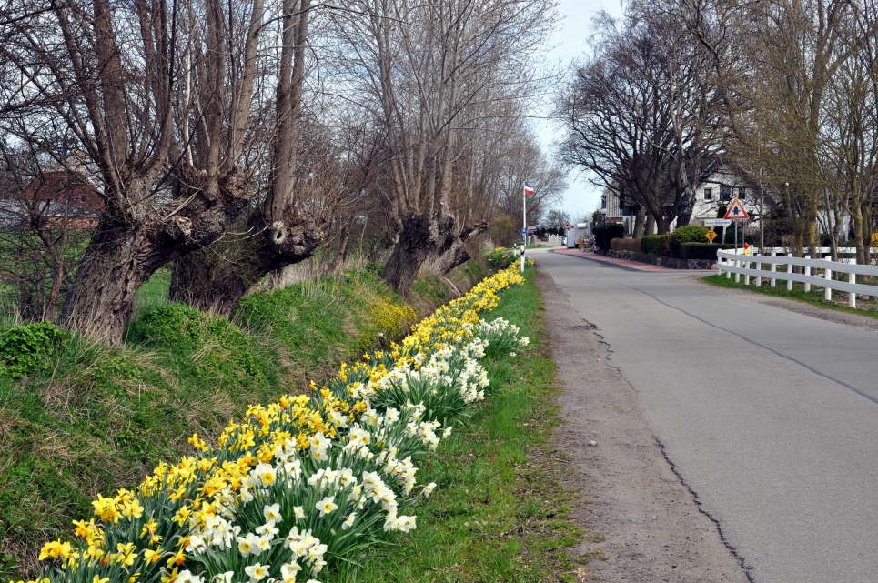 Liebevoll gepflegt, der Ort Wulfen