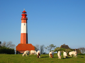 Fl�gger Leuchtturm